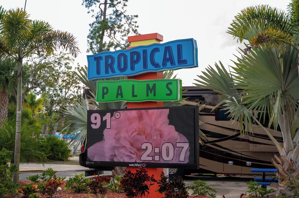 Tropical Palms Resort - photo 40