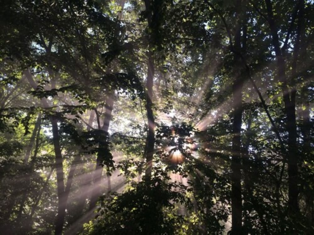 Fox Run Resort - photo 32