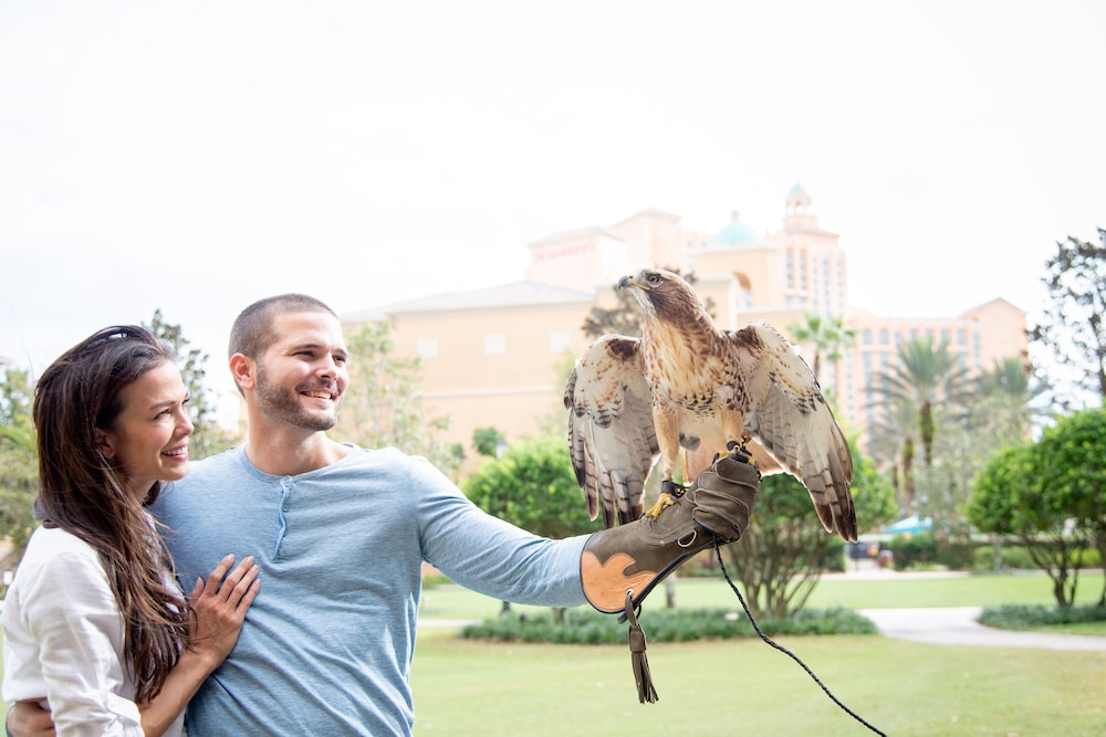 JW Marriott Orlando Grande Lakes - photo 45