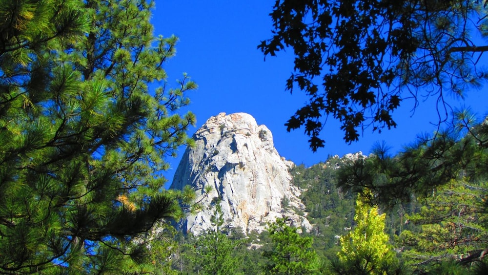 Always Inn Idyllwild Vacation Cottages - photo 23