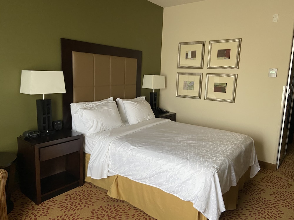Holiday Inn Express & Suites Silt Rifle by IHG - photo 30