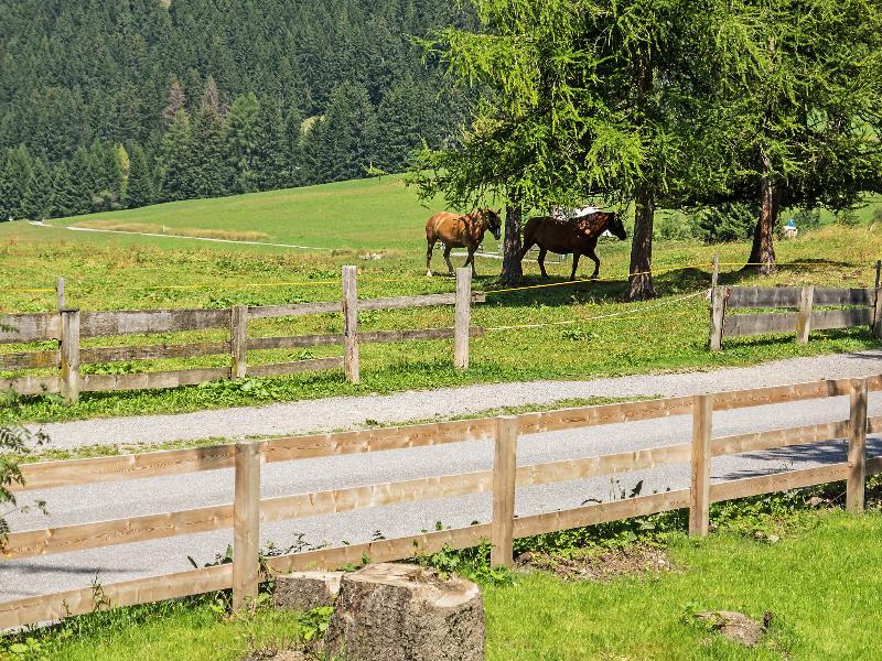 Das Ferienhaus von Capeller in Churwalden, Switzerland