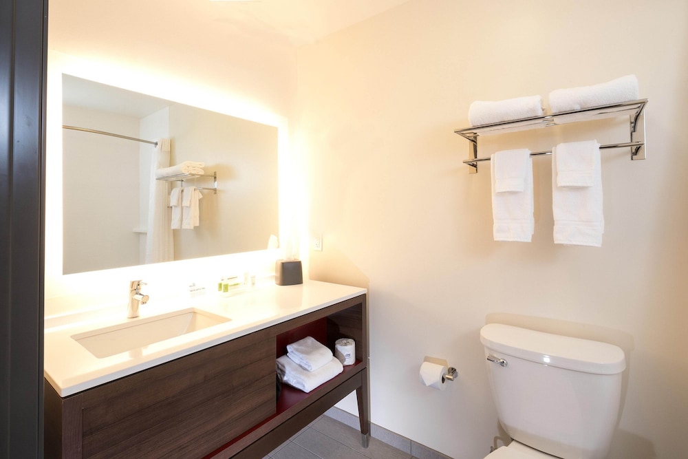 Holiday Inn & Suites Detroit Troy by IHG - photo 22