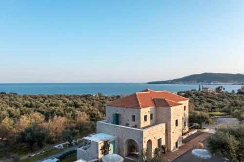 The Olive Yard — Gytheio — photo 4