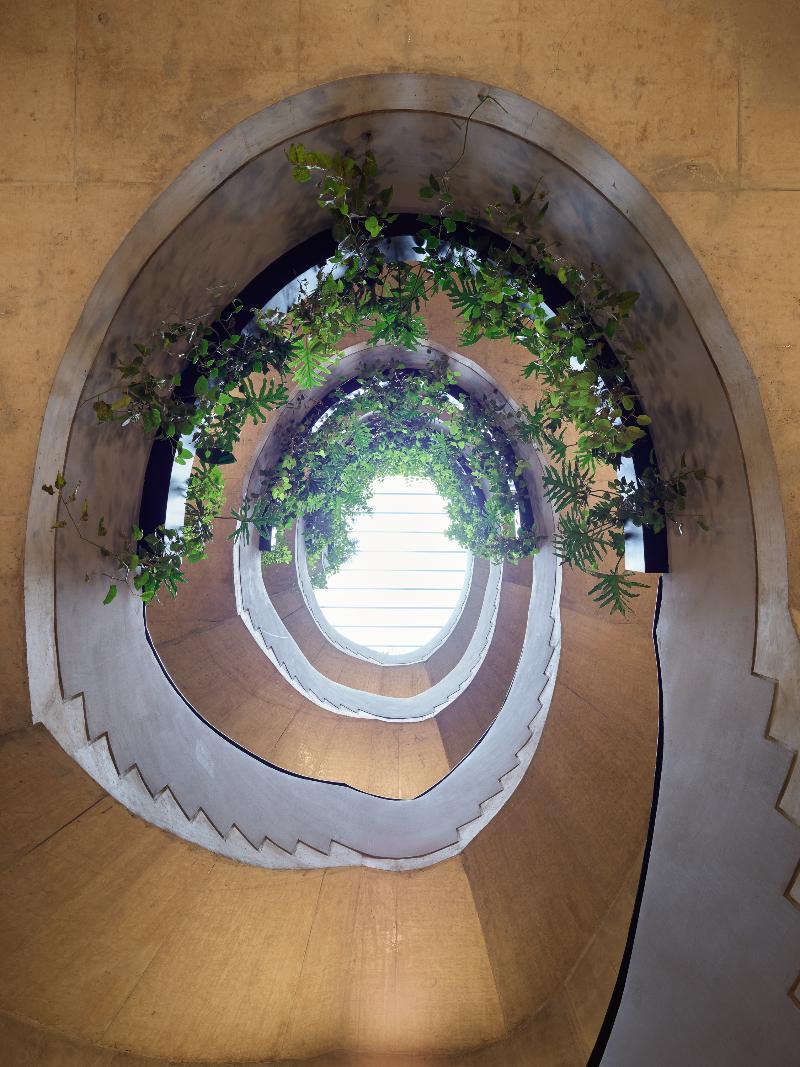 Hotel Casa Izel Roma Norte — Mexico City — photo 4