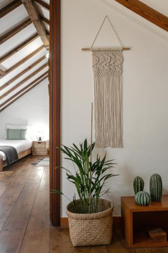 Second Home — Ferrel — photo 4