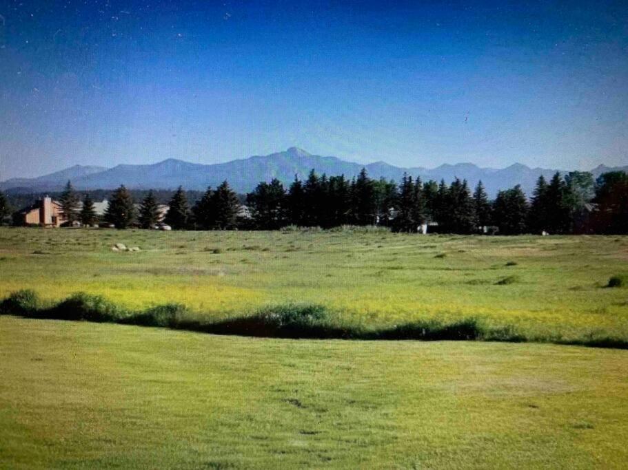 Talisman Amazing Views Walk To Uptown Sleeps 4 in Pagosa Springs, United States