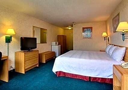 Airport Inn Flint - photo 5