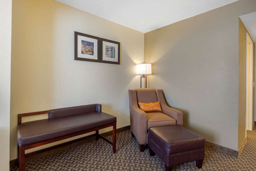 Comfort Inn & Suites SW Houston Sugarland - photo 7