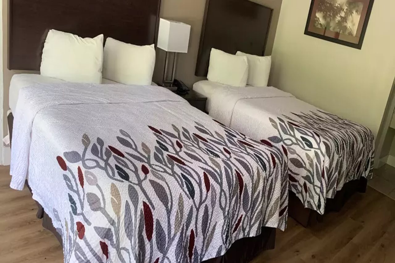 Red Roof Inn Clearfield - photo 7