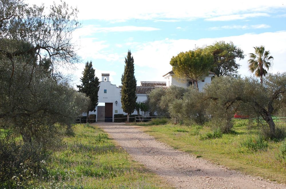 Hacienda Dos Olivos — hotel in Aznalcazar