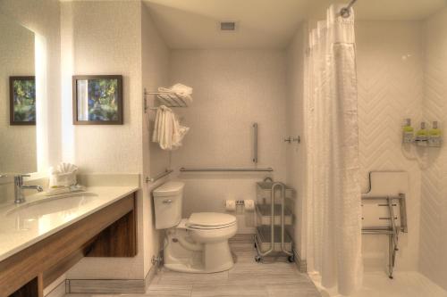 Holiday Inn & Suites Pigeon Forge Convention Center an IHG Hotel - photo 26