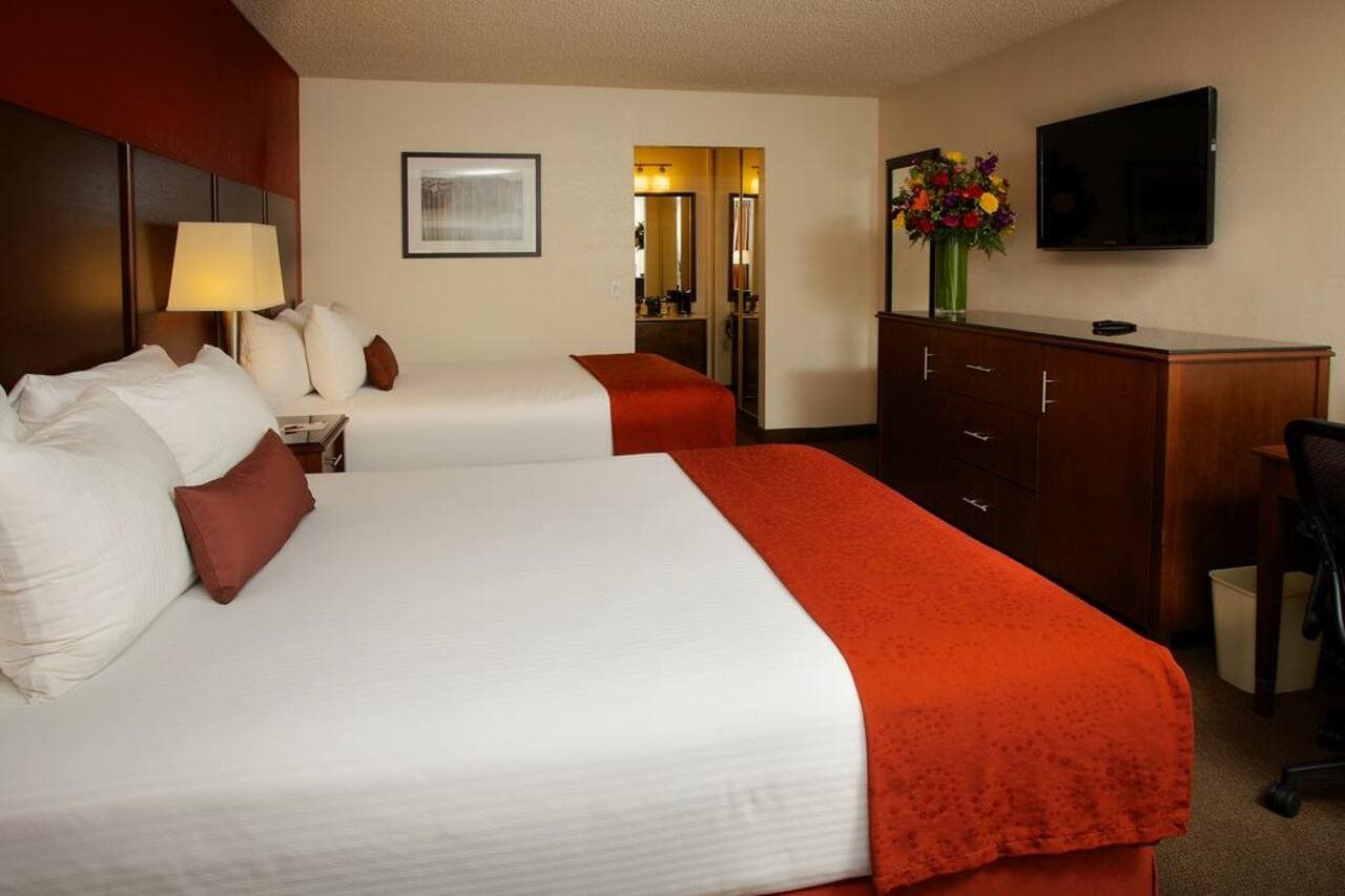 Ramada Hotel and Conference Center by Wyndham San Diego North - photo 7