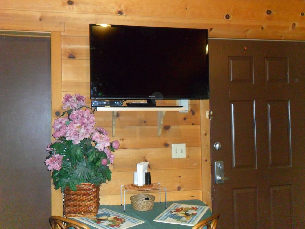 Big Bear Manor Spa Cabins - photo 7