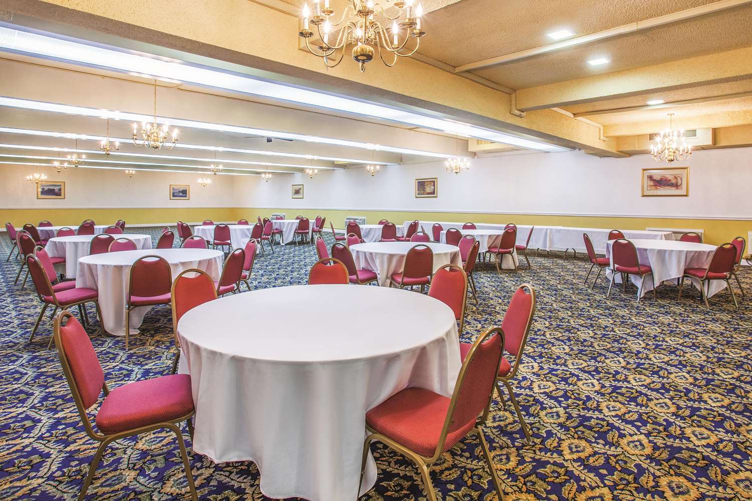 University Inn and Suites Berkeley - photo 30