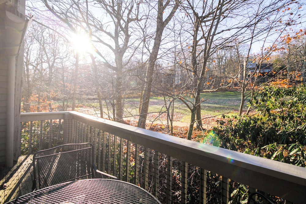 Wintergreen Ski Resort Condo w Golf Access - photo 8