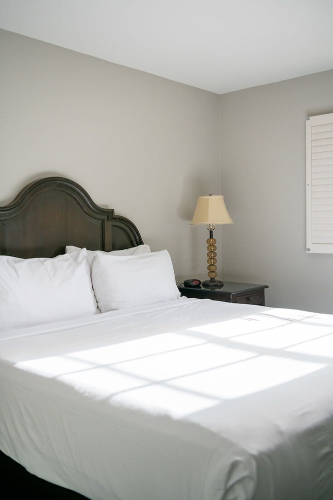 French Quarter Suites Hotel - photo 18