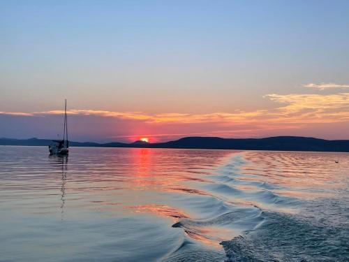 Málna Privát Nyaraló — Balatonlelle — photo 5