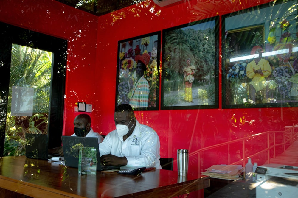 Geejam — Port Antonio — photo 4