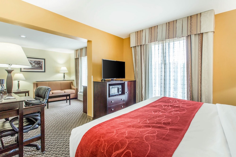 Comfort Suites Clinton near Presbyterian College - photo 6