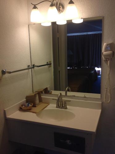 Houston Inn and Suites - photo 16