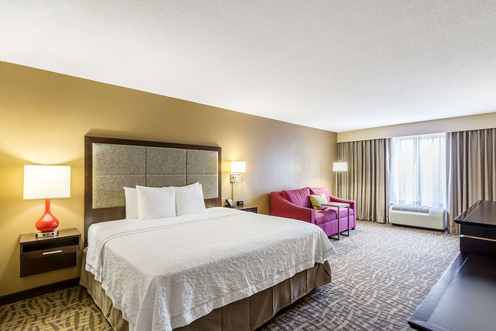 Hampton Inn Jackson Pearl International Airport - photo 12
