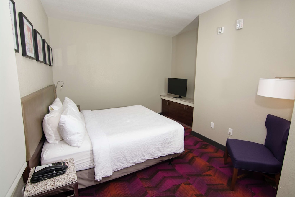Hilton Garden Inn Tampa Suncoast Parkway - photo 25