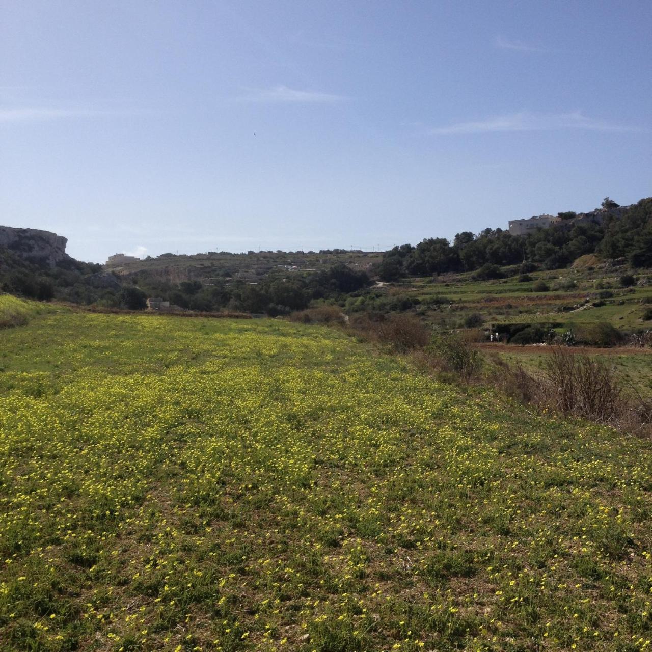 Secco’s Seaview Accommodation — Mgarr — photo 5