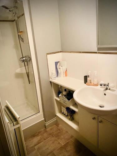 Modern ground floor apartment with free parking very near centre