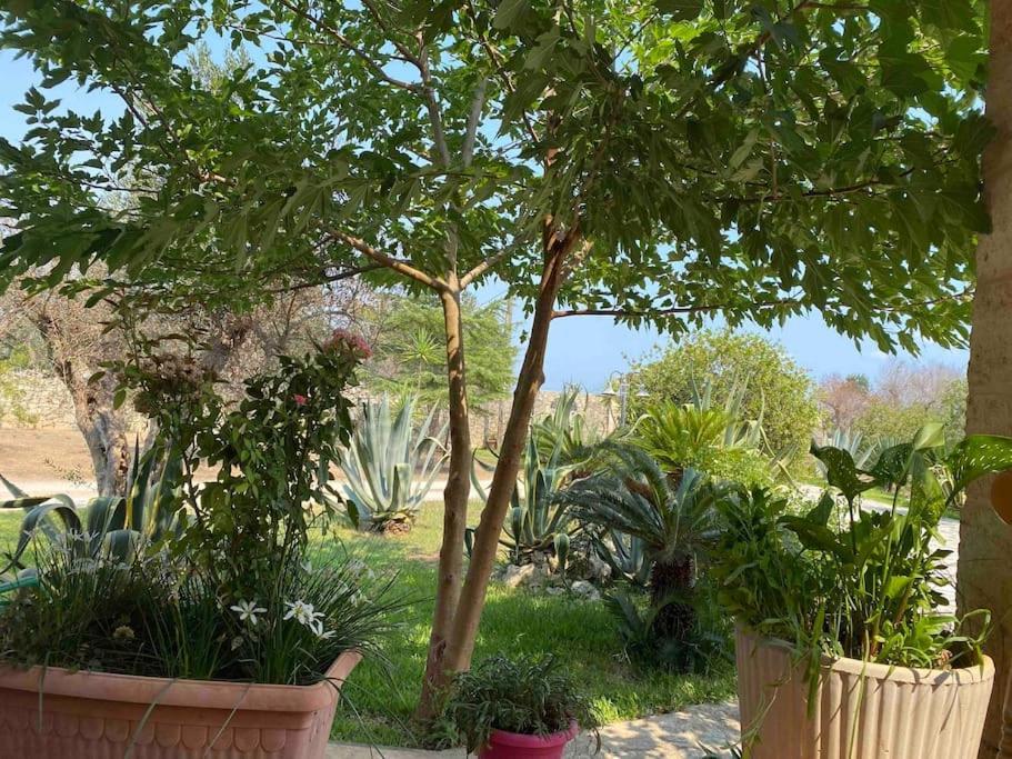 Lu Furnieddhu in Melendugno, Italy