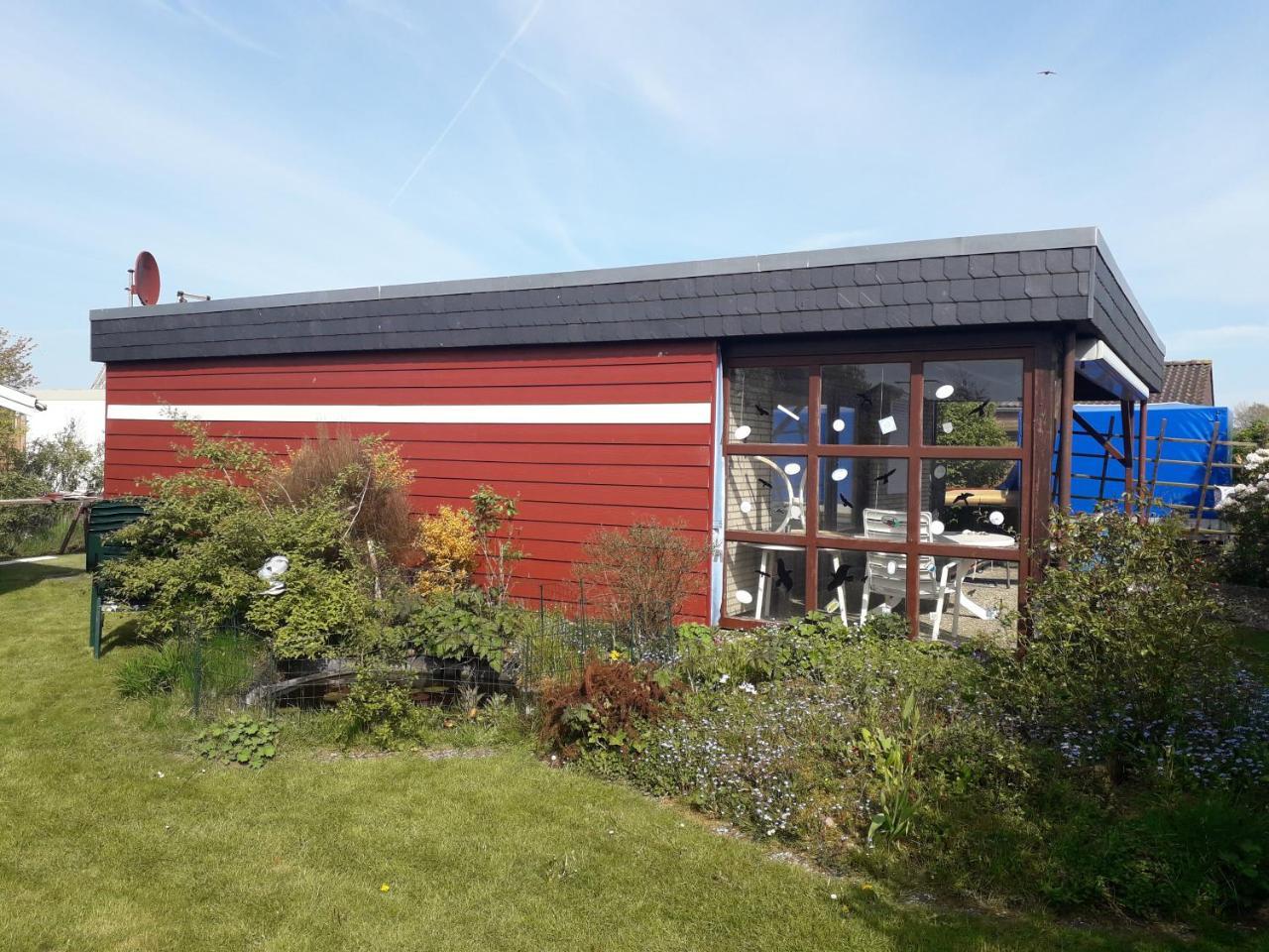Büsumer blaue Krabbe — Busum — photo 2