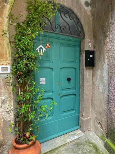 Il Gelsomino — hotel in Vetralla