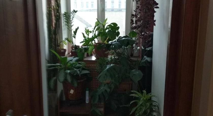 Suharevka Hostel Mini Hotel - last minute hotel in Moscow