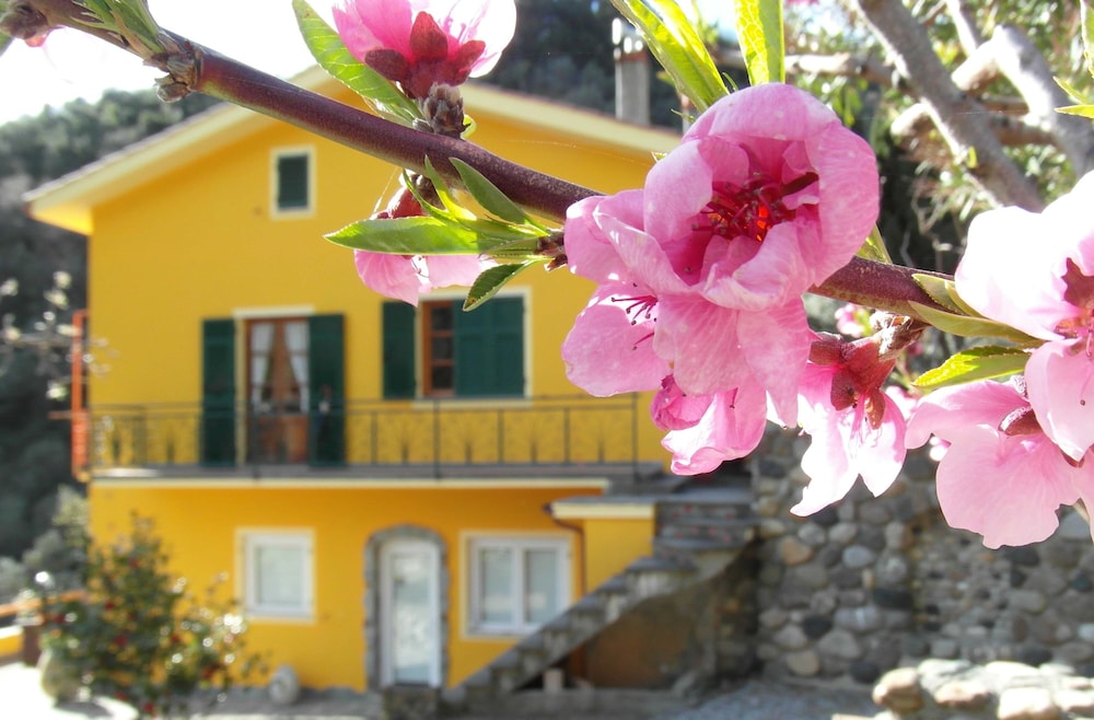 Agriturismo Costa di Campo — 4-Star Luxury Hotel in Vernazza, Italy