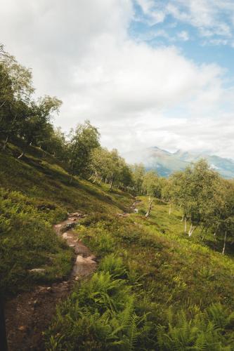 7 Min to Fjord Alpine Stay in Stranda — Stranda — photo 5