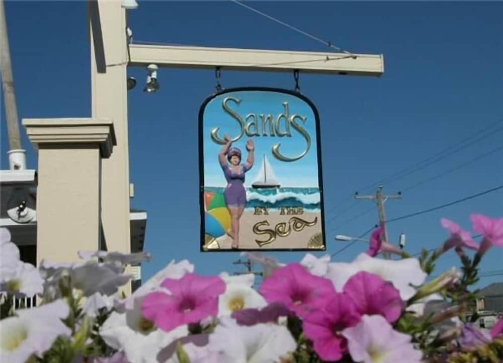 Sands by the Sea Motel - photo 58