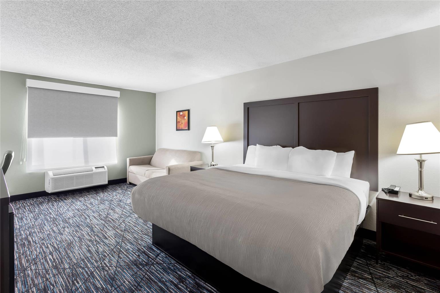 Quality Inn & Suites Niles - photo 30