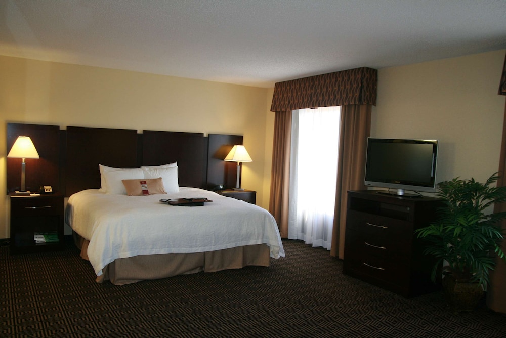 Hampton Inn & Suites Orlando John Young Pkwy S. Park - photo 5