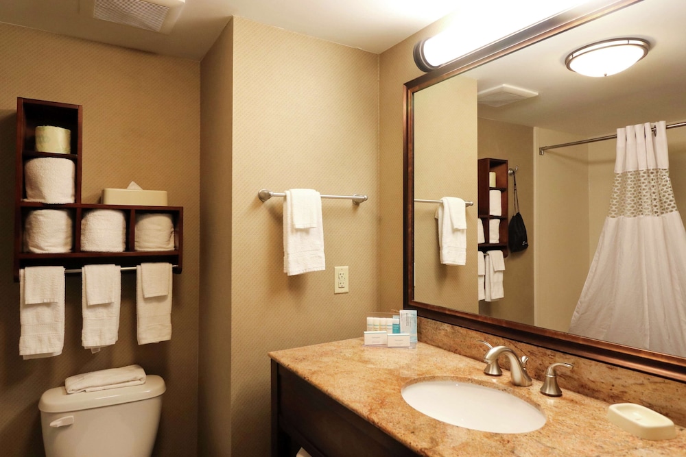 Hampton Inn Columbus South - photo 60