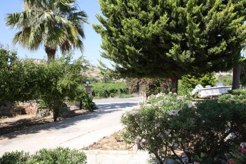 Alonia Villas