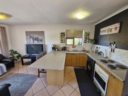Apartment with garden
