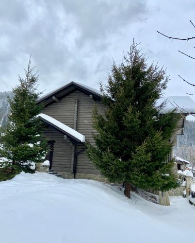 Bozhena in Vorokhta, Ukraine