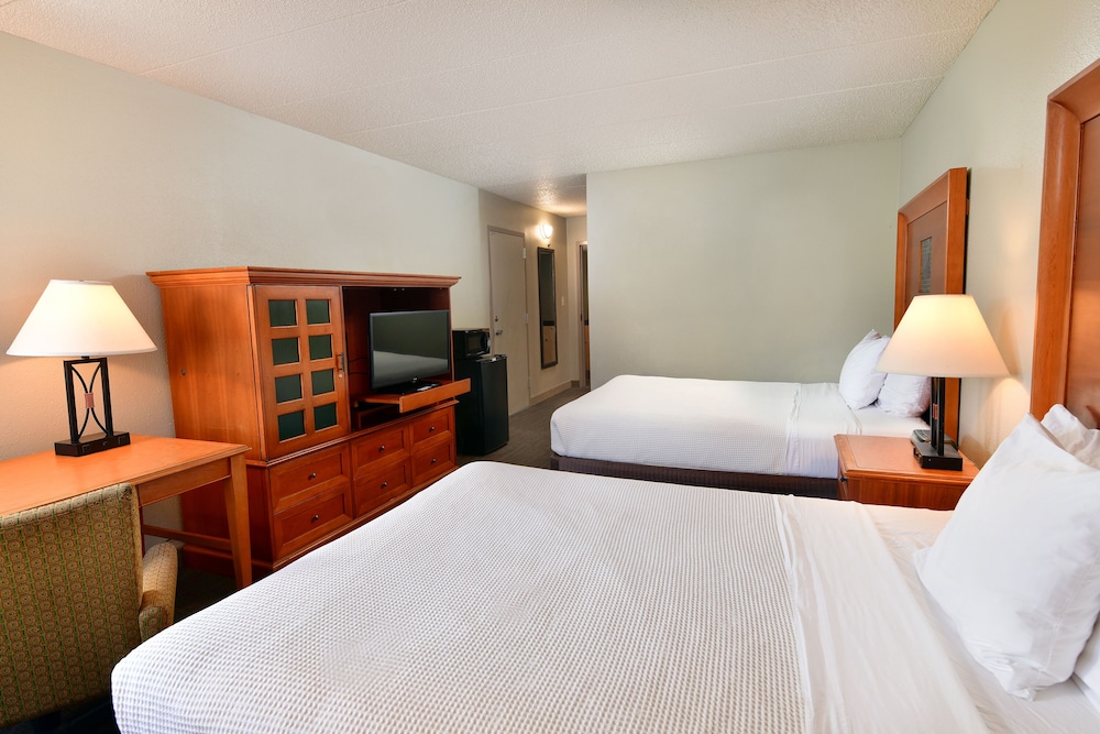Mt. Olympus Water & Theme Park Resort - photo 50