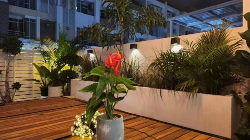 The Gallery House Jomtien Beach K — 4-Star Luxury Hotel in Pattaya, Thailand
