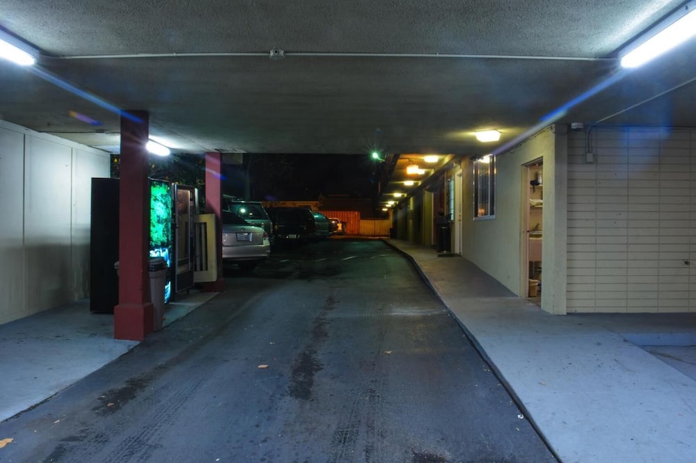 The Flamingo Motel - photo 21
