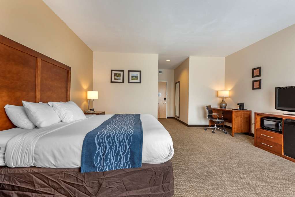 Comfort Inn Apalachin Binghamton W Route 17 - photo 21