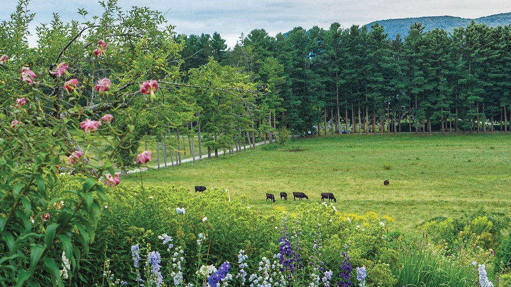 Holiday Inn Exp Stes Berkshires By Ihg - photo 46