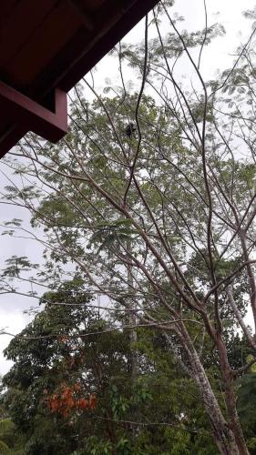 Nisalavila in Beruwala, Sri Lanka