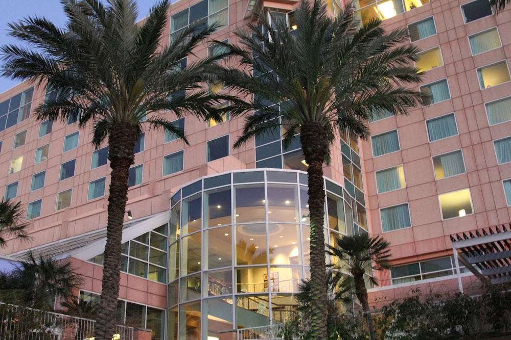 Moody Gardens Hotel Spa and Convention Center - photo 79
