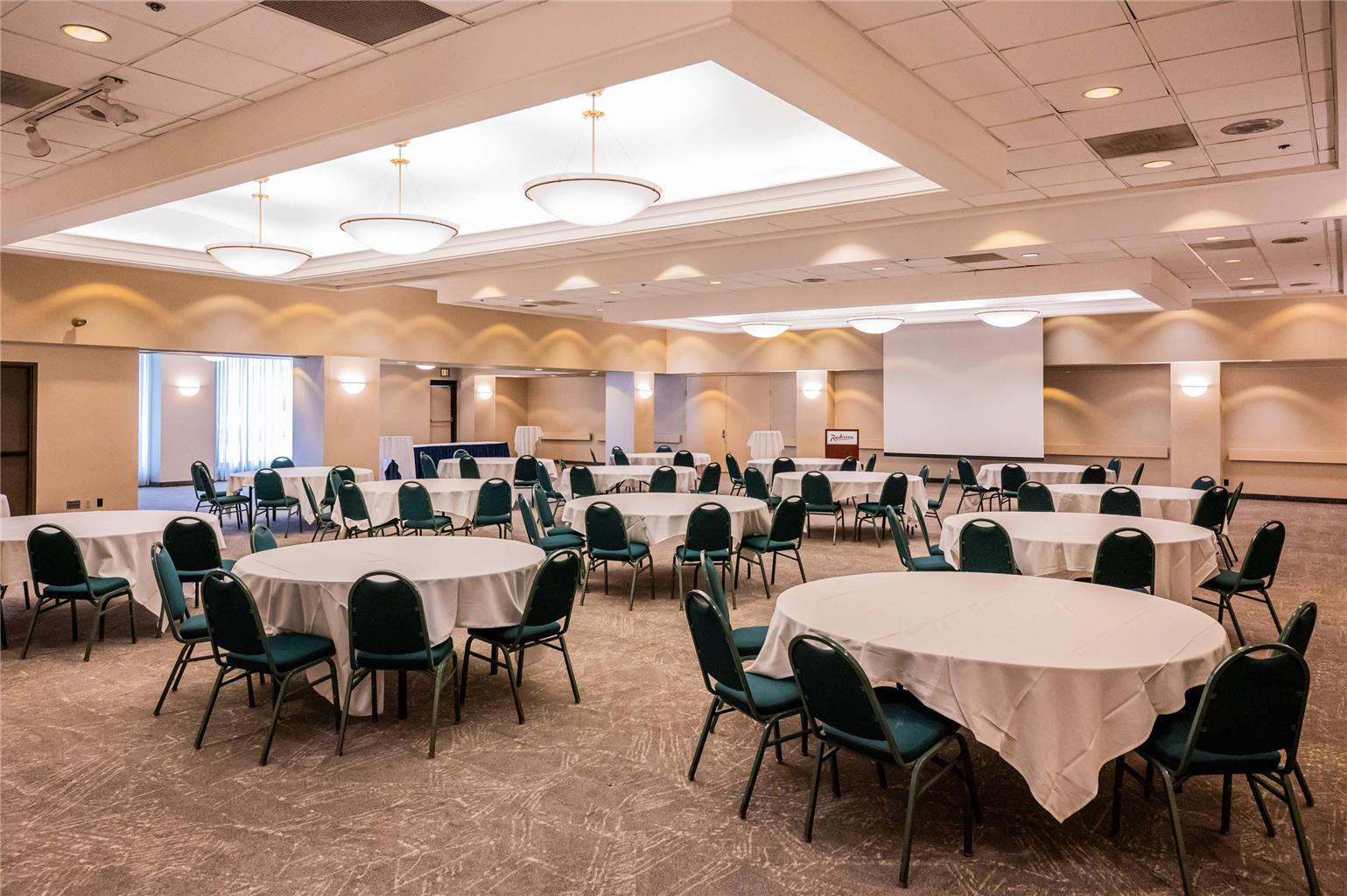 Radisson Hotel Duluth Harborview - photo 25